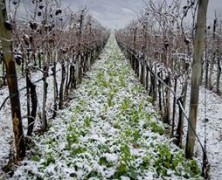 A nord di Trento (Bodini, Magré)